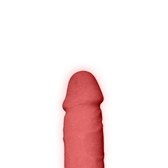 penis-model2