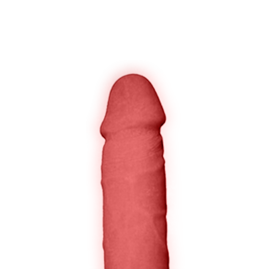 penis-model3